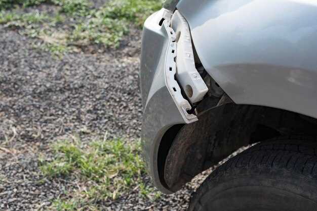 Выбор и установка кенгурятника