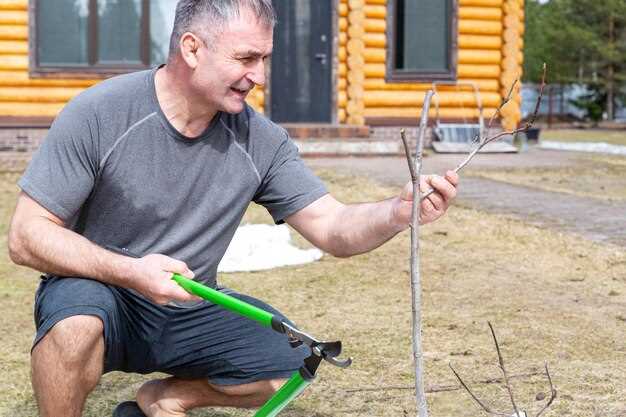 Обозначение проводов и схема подключения