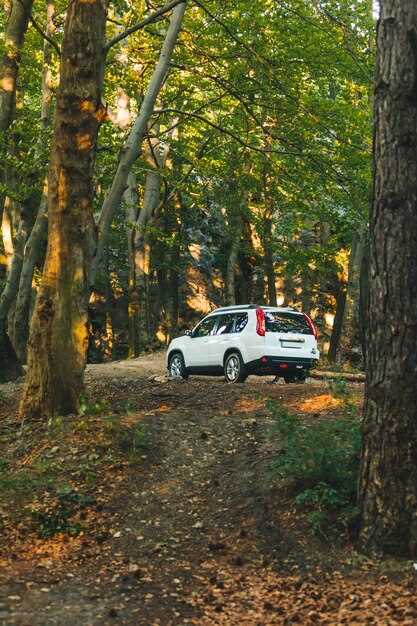 Изменения в габаритных размерах и аэродинамике