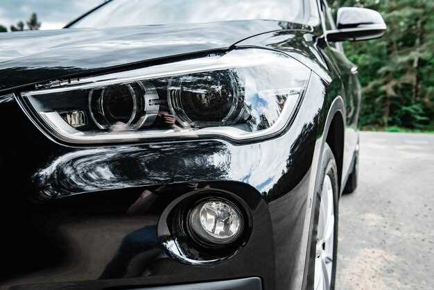 Профилактика появления влаги: советы владельцам RAV4 2010 года